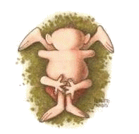 69.gif (18786 octets)