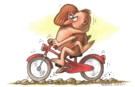 bicyclette.gif (19958 octets)