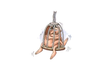 cage.gif (12512 octets)
