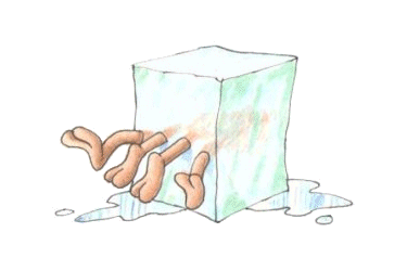 glace.gif (23825 octets)