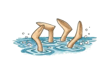 nageur.gif (22683 octets)