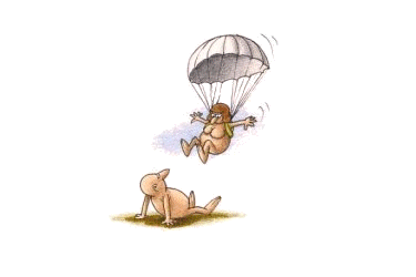 parachute.gif (12879 octets)