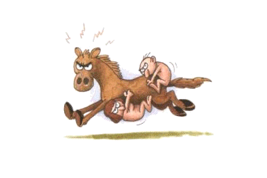 rodeo.gif (17836 octets)